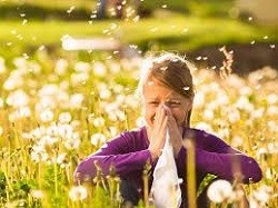 30 травня - Всесвітній день боротьби проти астми і алергії